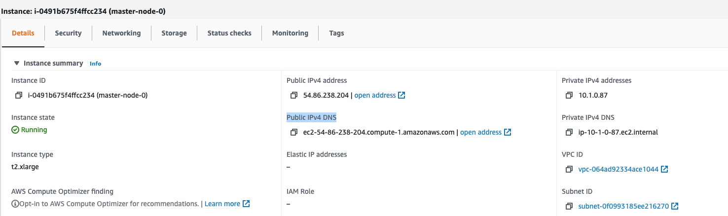 master-node-0, the AWS Console