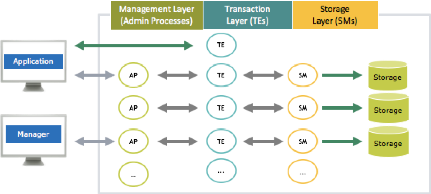 NuoDB Architecture, the NuoDB Architecture